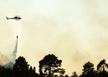 Tenerife fire already affects 500 hectares of land