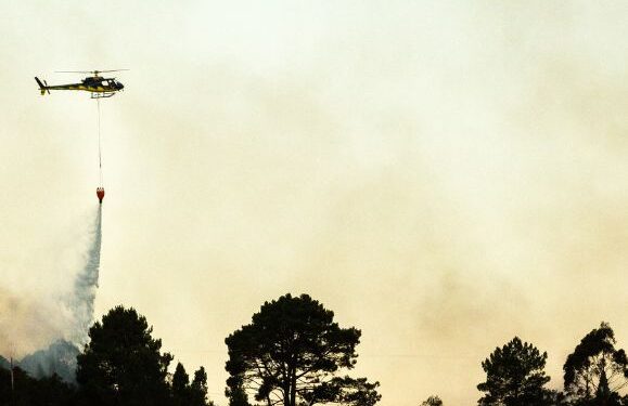 Tenerife fire already affects 500 hectares of land