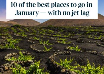 Lanzarote features in The Times