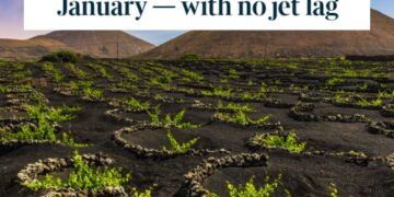 Lanzarote features in The Times