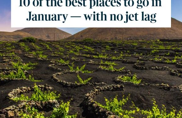 Lanzarote features in The Times