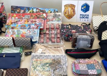 Tías local police seize 6 million euros worth of counterfeit goods