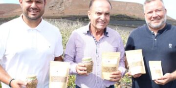 Tinajo lentils a hit in Tenerife