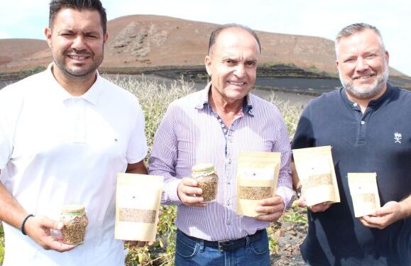 Tinajo lentils a hit in Tenerife