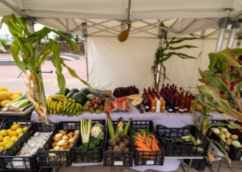 Top 10 Lanzarote products