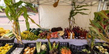 Top 10 Lanzarote products