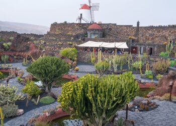 Top 5 green spaces on Lanzarote