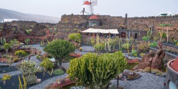 Top 5 green spaces on Lanzarote