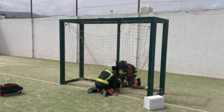Trapped cat rescued in La Graciosa