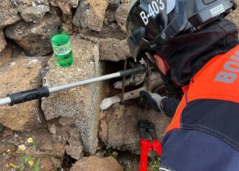 Trapped dog rescued from inside aljibe in Arrecife