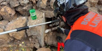Trapped dog rescued from inside aljibe in Arrecife