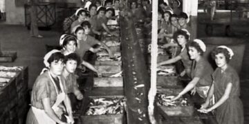 Tribute to the sardine packers