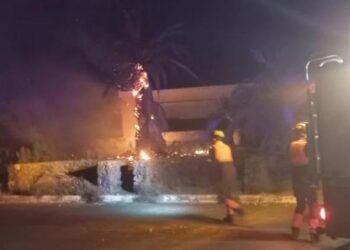 Two palm trees burned in Arrecife