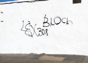 Vandals investigated