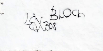 Vandals investigated