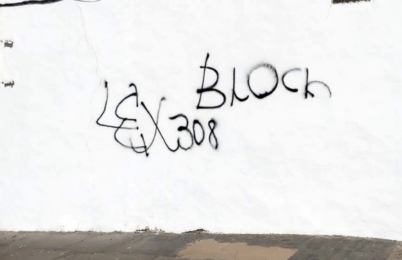 Vandals investigated