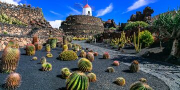 Visiting the Jardín de Cactus