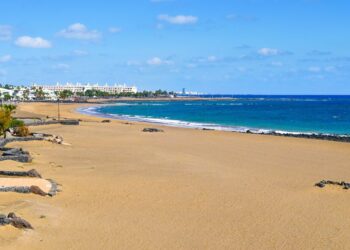 Jellyfish warning issued at Playa La Garita