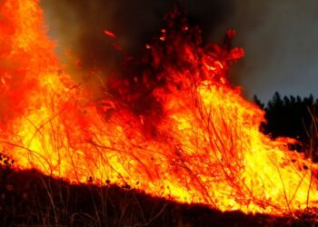 Tenerife: “Worst wildfire for 40 years”