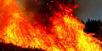Tenerife: “Worst wildfire for 40 years”