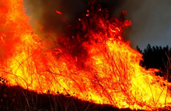 Tenerife: “Worst wildfire for 40 years”