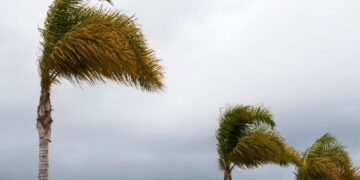 Wind and haze