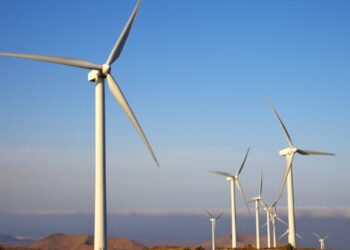New windfarm by next year