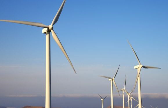 New windfarm by next year
