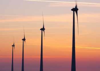 No windpark for Las Caletas