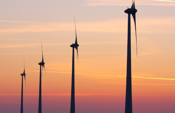No windpark for Las Caletas