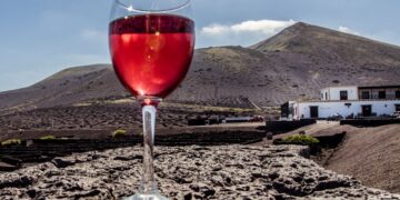 Wine Wonderland