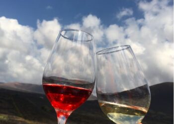 Canarian wines shine at competition