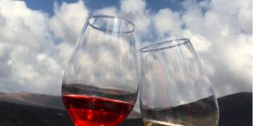 Canarian wines shine at competition