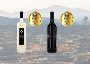 Producciones Arráez Bravo wines win double gold