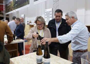 Lanzarote wines at the Barcelona Wine Week fair