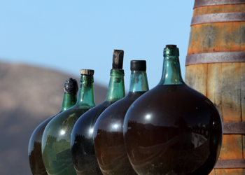 Wine Wins