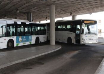 Yaiza asks for bus services for Remedios concerts