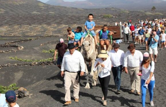 Yaiza invites you to the traditional grape harvest