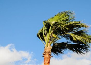 Yellow wind alerts issued