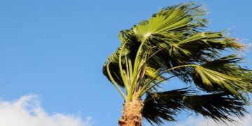 Yellow wind alerts issued