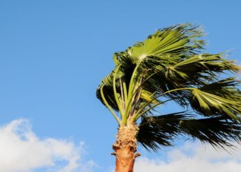 Yellow wind and coastal warnings this Tuesday