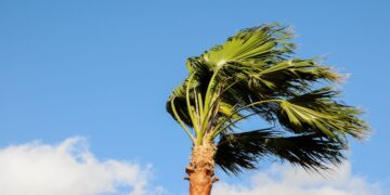 Yellow wind and coastal warnings this Tuesday